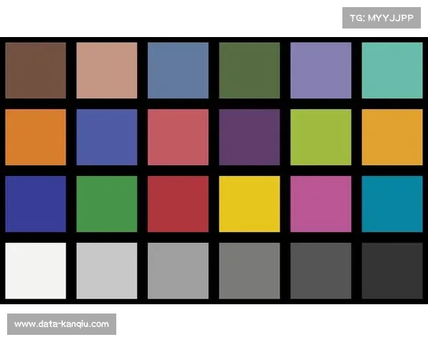 本阶段推出的自动化色彩管理协议 确保了多机位信号的色觉一致性